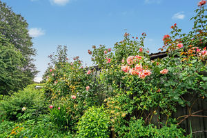 Photo 32- click for photo gallery